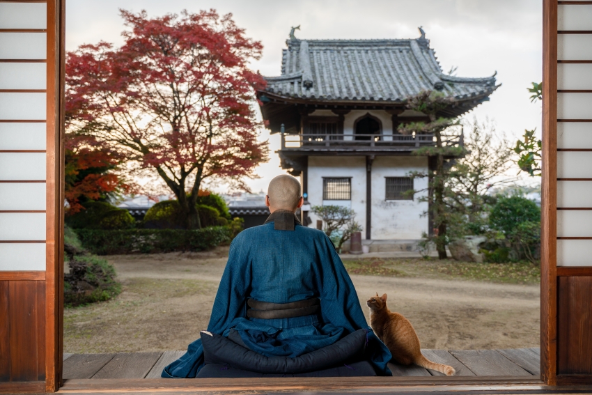 [JCB members only] < 13:00 ～> A zazen experience where you can look back at yourself with the famous “wappa teishoku”