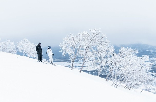 Khám phá thiên đường tuyết bột mịn ở Niseko, Hokkaido! Các khách sạn nghỉ dưỡng và ẩm thực nổi tiếng